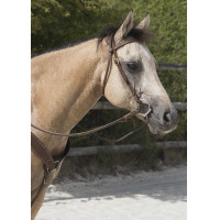 Trensenzaum Westride by Franck Perret Colorado