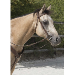 Trensenzaum Westride by Franck Perret Colorado