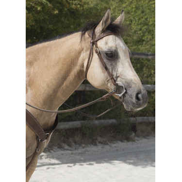 Trensenzaum Westride by Franck Perret Colorado