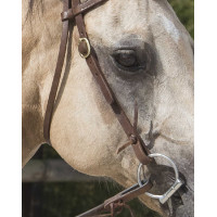 Trensenzaum Westride by Franck Perret Colorado