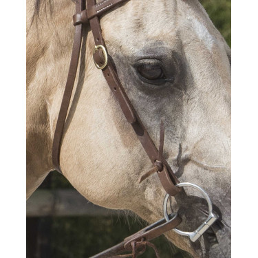 Trensenzaum Westride by Franck Perret Colorado