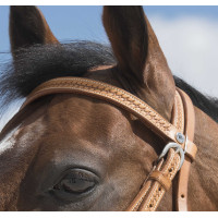 Bridon Westride von Franck Perret Aurora Haselnuss Braun