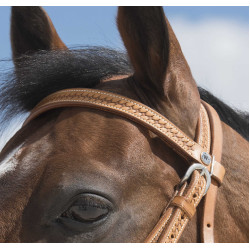 Bridon Westride von Franck Perret Aurora Haselnuss Braun