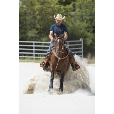 Brustblattgurt Westride by Franck Perret Aurora Haselnuss Braun Brustblattgurt Westride by Franck Perret Aurora Haselnuss Braun