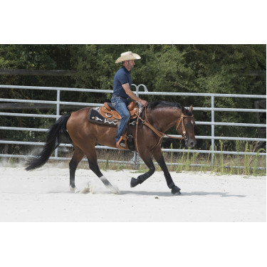 Sattel Westride by Franck Perret Aurora Haselnuss Braun