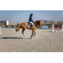 Steppjacke Pro Series Diagonal Marineblau