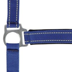 Norton Reflektierend Halfter Blau