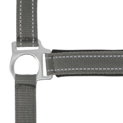 Norton Reflektierend Halfter Grau