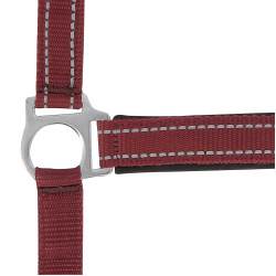 Norton Reflektierend Halfter Bordeaux