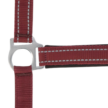 Norton Reflektierend Halfter Bordeaux