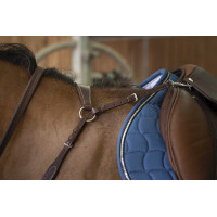 Brustblatt Norton Pro Komfort Schwarz