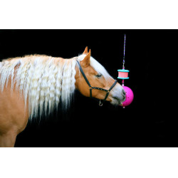 Halterung für Salzleckstein Boredom Breaker Likit Fuchsie Rosa