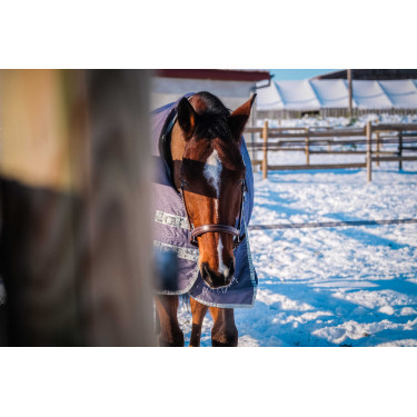 Equithème Tyrex 1200D recycelte Decke Maulwurf Braun