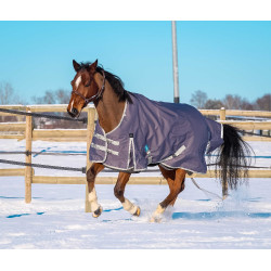 Equithème Tyrex 1200D recycelte Decke Maulwurf Braun