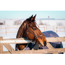 Equithème Tyrex 1200D recycelte Decke Maulwurf Braun