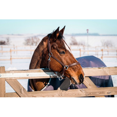 Equithème Tyrex 1200D recycelte Decke Maulwurf Braun