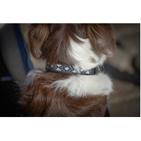 Hundehalsband Pénélope Pearl Havanna / Rosa Braun