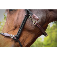 Pénélope Ethologisches Halfter Havanna Braun