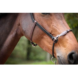 Pénélope Ethologisches Halfter Havana / Schwarz Braun Pénélope Ethologisches Halfter Havana / Schwarz Braun