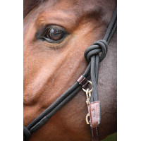 Pénélope Ethologisches Halfter Havanna Braun