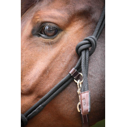 Pénélope Ethologisches Halfter Havana / Schwarz Braun Pénélope Ethologisches Halfter Havana / Schwarz Braun