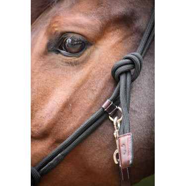 Pénélope Ethologisches Halfter Havana / Schwarz Braun Pénélope Ethologisches Halfter Havana / Schwarz Braun