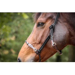 Pénélope Ethologisches Halfter Havana / Schwarz Braun Pénélope Ethologisches Halfter Havana / Schwarz Braun