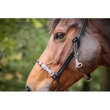 Pénélope Ethologisches Halfter Havana / Schwarz Braun Pénélope Ethologisches Halfter Havana / Schwarz Braun