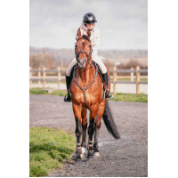 Martinigall Pénélope Havanna Braun Martinigall Pénélope Havanna Braun