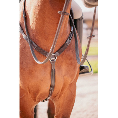 Martinigall Pénélope Havanna Braun