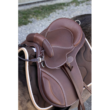 Sattelbarde Guy Cantin Evolution éducative Havanna Braun Sattelbarde Guy Cantin Evolution éducative Havanna Braun