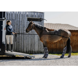 Norton Anreit-Hilfszügel Schwarz Norton Anreit-Hilfszügel Schwarz