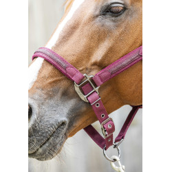 Halfter Lami-Cell Sparkling Bordeaux Halfter Lami-Cell Sparkling Bordeaux