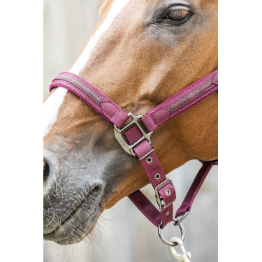 Halfter Lami-Cell Sparkling Bordeaux Halfter Lami-Cell Sparkling Bordeaux