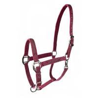 Halfter Lami-Cell Sparkling Bordeaux