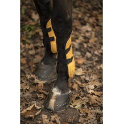 Lami-Cell LC Gamaschen- und Fesselkopfschutz-Set Honig / Gold Gelb