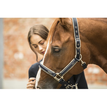 Halfter Lami-Cell Elegance Marine / Champagner Blau