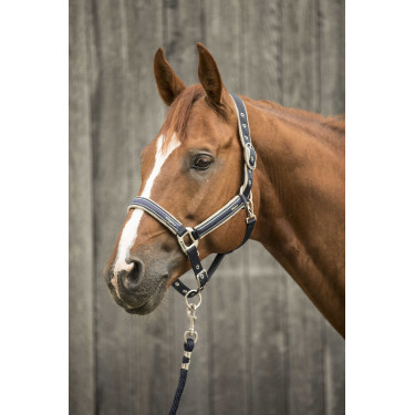 Halfter Lami-Cell Elegance Marine / Champagner Blau