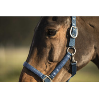 Halfter Lami-Cell LC Atollblau