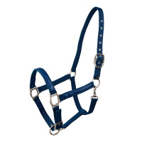 Halfter Lami-Cell LC Atollblau Halfter Lami-Cell LC Atollblau