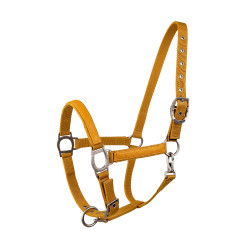 Halfter Lami-Cell LC Honig / Gold Gelb Halfter Lami-Cell LC Honig / Gold Gelb