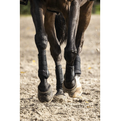 Geschlossene Gamaschen Lami-Cell V22 Brushing Boots Schwarz Geschlossene Gamaschen Lami-Cell V22 Brushing Boots Schwarz
