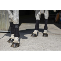 Polo-Bandagen Riding World Eco Schwarz