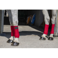 Polo-Bandagen Riding World Eco Rot