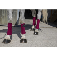 Polo-Bandagen Riding World Eco Bordeaux