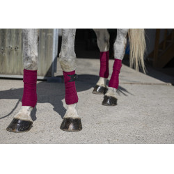Polo-Bandagen Riding World Eco Bordeaux