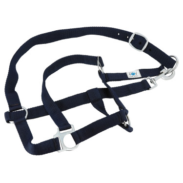 Komplettset Riding World Marineblau