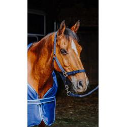 Komplettset Riding World Marineblau