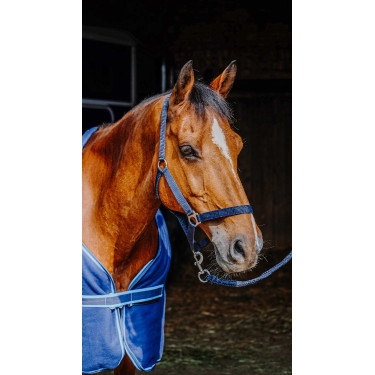 Komplettset Riding World Marineblau