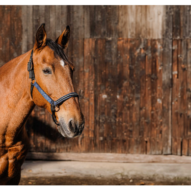 Nylonhalfter Equithème Domino Königsblau